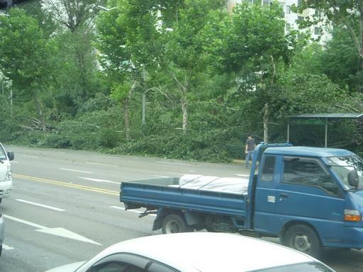 DSCN5401.JPG